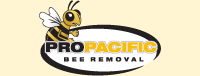 Pro Pacific Bee Removal