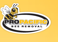 Pro Pacific Bee Removal