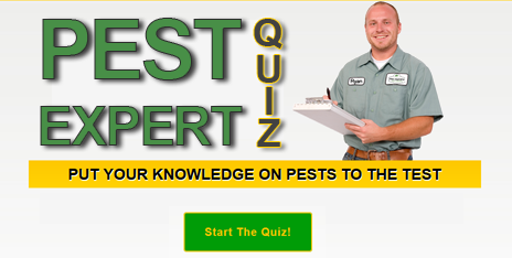Start The Pest Expert Quiz