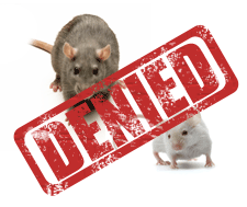 Professional Rodent Proofing by Pro Pacific Pest Control
