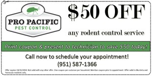 $50 Discount Savings on Rodent Control